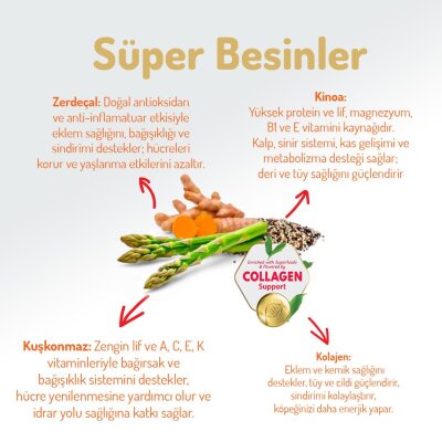 Felicia Hipoalerjenik Somonlu Yetişkin Köpek Maması 15 kg