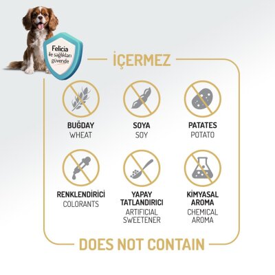 Felicia Hipoalerjenik Somonlu Yetişkin Köpek Maması 15 kg