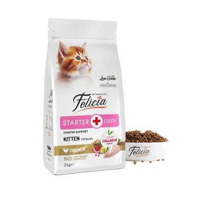 Yavru ve Anne için Tavuklu Düşük Tahıllı 2 kg Kedi Maması