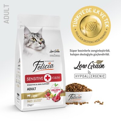 Felicia Kuzu Etli Az Tahıllı Hipoalerjenik Yetişkin Kedi Maması 2 kg