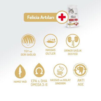 Felicia Kuzu Etli Az Tahıllı Hipoalerjenik Yetişkin Kedi Maması 2 kg