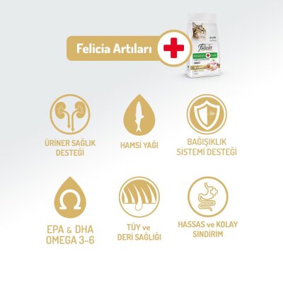 Felicia Tavuklu Az Tahıllı Hipoalerjenik Yetişkin Kedi Maması 2 kg