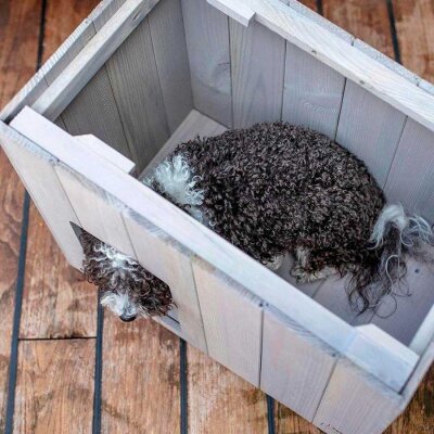 Ferplast Argo 50 FSC Çam Ahşap Dış Mekan Kedi ve Köpek Kulübesi