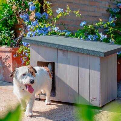 Ferplast Argo 60 Dış Mekan Ahşap Köpek Kulübesi