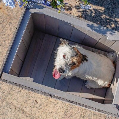 Ferplast Argo 60 Dış Mekan Ahşap Köpek Kulübesi