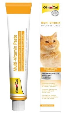 Gimcat Anti-Hairball Duo Peynirli Malt Macunu 50 gr