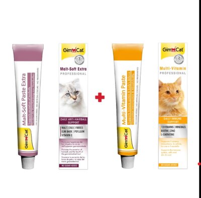 Gimcat Malt ve Multivitamin Macunu 2'li Set 20 + 20 gr