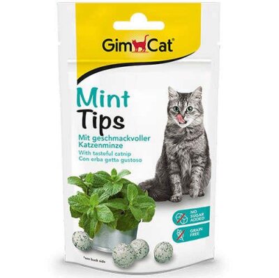 Catnipli Naneli Tahılsız Kedi Ödül Tableti 40 gr