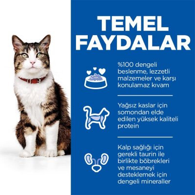 Somonlu ve Havuçlu Yetişkin Kedi Kuru Maması 1,5 kg