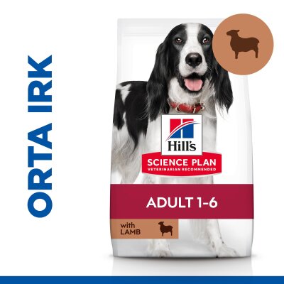 Hill's Science Plan Kuzu-Pirinçli Orta Irk Köpek Maması 2,5 kg