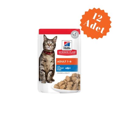 Hill's Science Soslu Okyanus Balıklı Yetişkin Kedi Yaş Mama 85 gr x 12