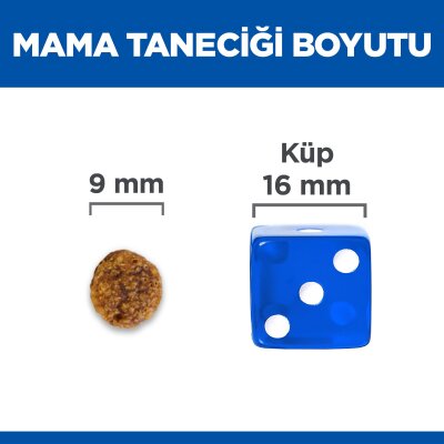 Hill's Science Plan Hipoalerjenik Somonlu Küçük Irk Köpek Maması