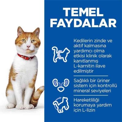 Hill's Science Plan Kısırlaştırılmış Somonlu Kedi Maması 13+2 kg