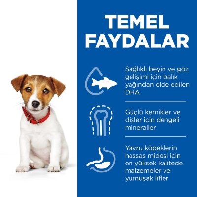 Hill's Tavuklu Küçük ve Mini Irk Yavru Köpek Maması 1,5 kg