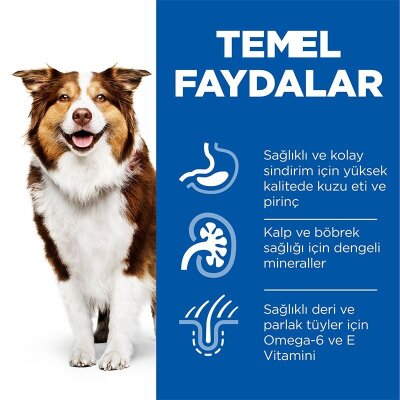 Hill's Light +7 Kuzulu Pirinçli Orta Irk Yaşlı Köpek Maması 2,5 kg