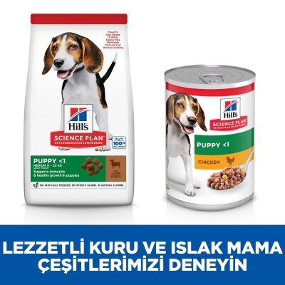 Hill's Science Plan Kuzu-Pirinçli Orta Irk Yavru Köpek Maması 2,5 kg