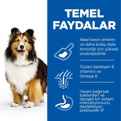 Hill's Hassas Deri-Mide Tavuklu Orta Irk Köpek Maması 2,5 kg