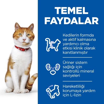 Kısırlaştırılmış Tavuklu Soslu Kedi Yaş Maması 12 x 85 gr