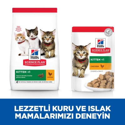 Hill's Science Plan Tavuklu DHA'lı Yavru Kedi Maması 3 kg