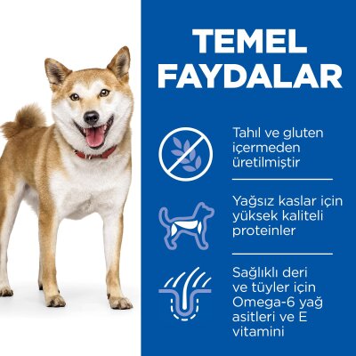 Tahılsız Ton Balıklı Yetişkin Köpek Maması 12 kg