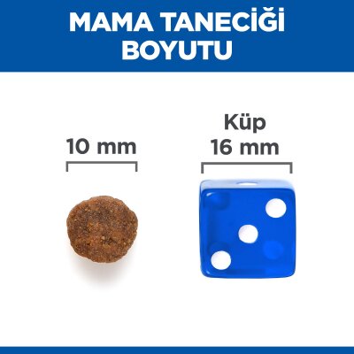 Tahılsız Ton Balıklı Yetişkin Köpek Maması 12 kg