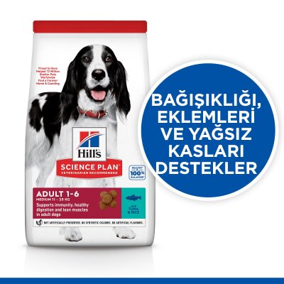 Kilo Kontrol Ton Balıklı Orta Irk Köpek Maması 10 kg + 2 kg