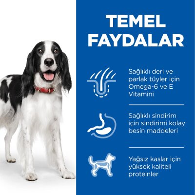 Kilo Kontrol Ton Balıklı Orta Irk Köpek Maması 10 kg + 2 kg