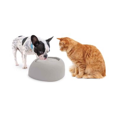 Imac Filtreli Otomatik Kedi ve Köpek Su Pınarı 2 L (Gri)