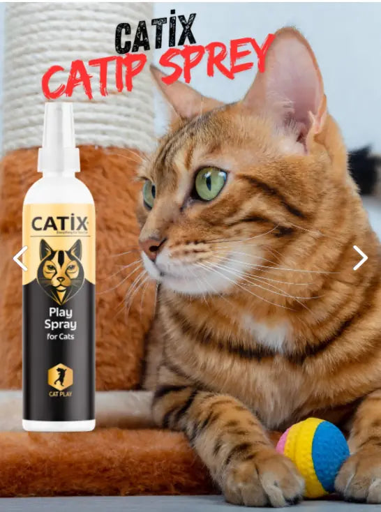 CATİX Catnip ve Valerianlı Kedi Oyun Spreyi 100 ml