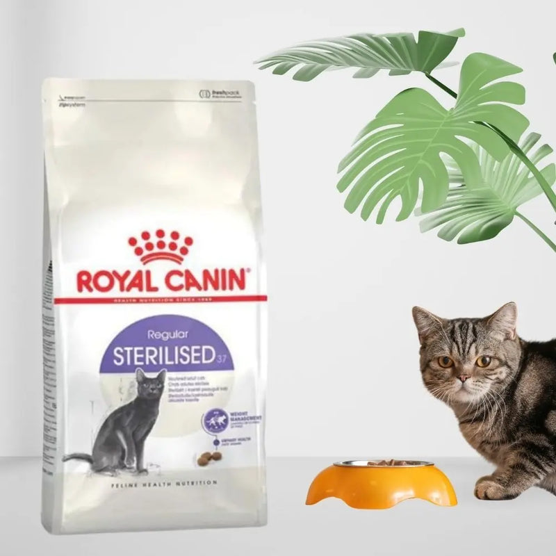 Royal Canin Sterilised Yetişkin Kedi Maması 1 kg