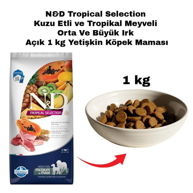 Kuzu Etli Tropikal Meyveli Orta-Büyük Irk Yetişkin Köpek Maması 1 kg
