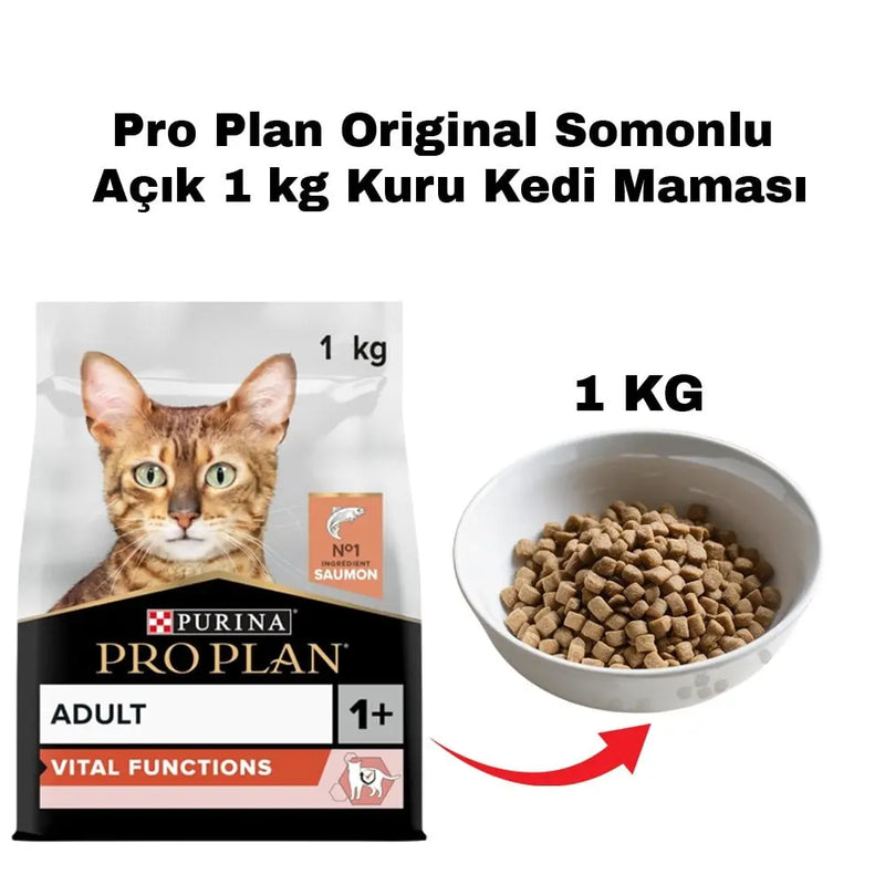 Somonlu Omega-3'lü 1 kg Yetişkin Kuru Kedi Maması
