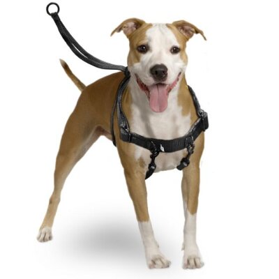 Karlie Easy Walker Ergonomik Köpek Göğüs Tasması (M, 31x39 cm)