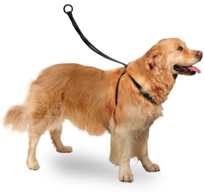 Karlie Easy Walker Ergonomik Köpek Göğüs Tasması 40x58 cm (L)