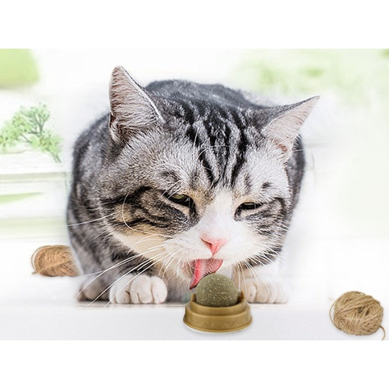 Yapışkanlı Kedi Otu (Catnip) Oyun Topu