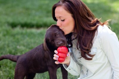 Kong Classic Büyük Irk Doğal Kauçuk Köpek Isırma Oyuncağı XXL