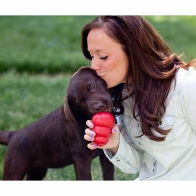 Kong Classic Ödül Hazneli Kauçuk Köpek Isırma Oyuncağı S