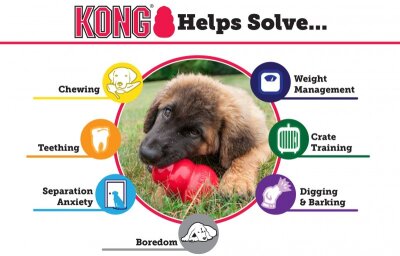 Kong Extreme Ultra Dayanıklı Kauçuk Köpek Isırma Oyuncağı (S)