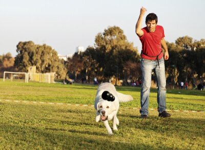Kong Extreme Ultra Dayanıklı Kauçuk Köpek Isırma Oyuncağı (XXL)