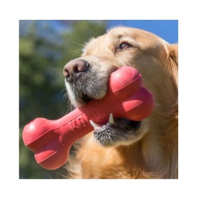 Kong Goodie Bone Ödül Doldurulabilir Kemik Köpek Oyuncağı M