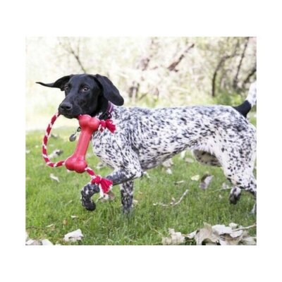 Kong Goodie Bone İpli Kemik Köpek Çekiştirme Oyuncağı M