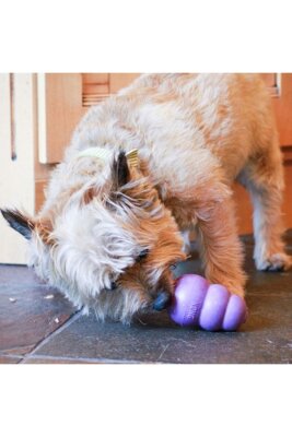 Kong Senior Yaşlı Köpek Kauçuk Isırma Oyuncağı S