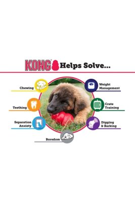 Kong Senior Yaşlı Köpek Kauçuk Isırma Oyuncağı S