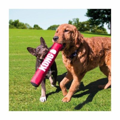 Kong Signature Stick Sesli Dayanıklı Köpek Çubuk Oyuncağı XL