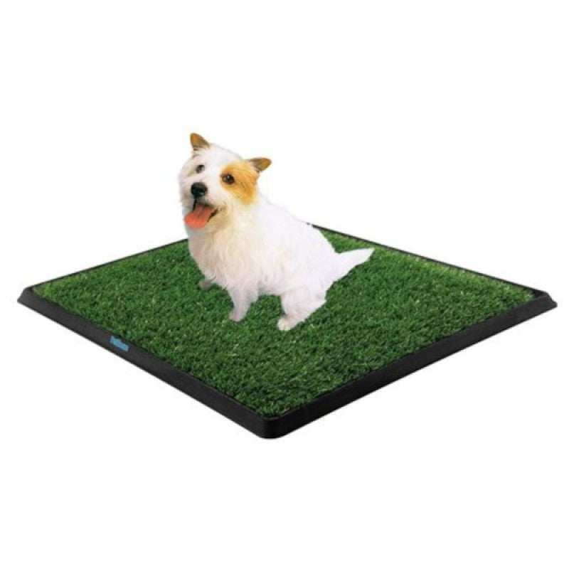 Sentetik Çimli Yıkanabilir Köpek Tuvalet Eğitim Seti