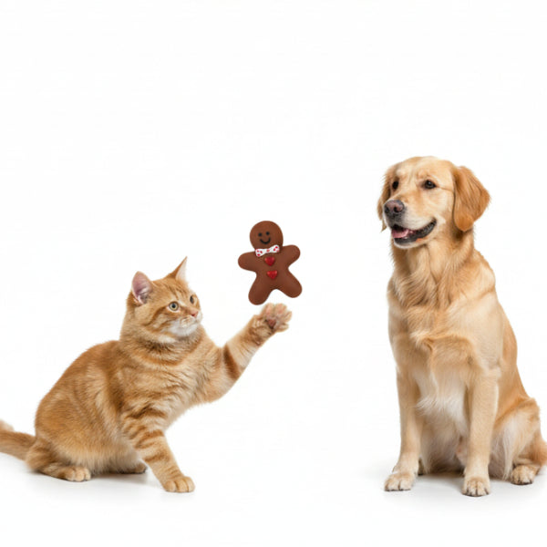 Sesli Çiğneme Bisküvi Adam Köpek Oyuncağı