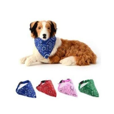 Lionpet Fularlı Ayarlanabilir Köpek Boyun Tasması M/L