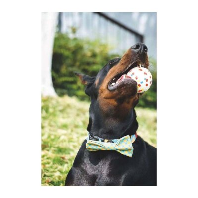 M-Pets Bloom Ball Parçalanmaz Yüzen Köpek Oyun Topu 7 cm