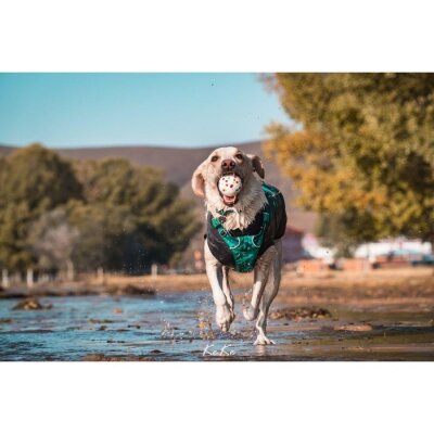 M-Pets Bloom Ball Parçalanmaz Yüzen Köpek Oyun Topu 7 cm