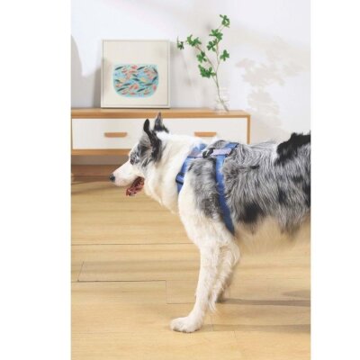 M-Pets Yumuşak Dolgulu Köpek Göğüs Tasması (Mavi, S)